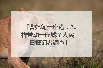 曹妃甸一座港，怎样带动一座城？人民日报记者调查