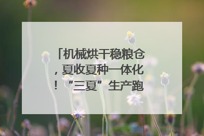 机械烘干稳粮仓，夏收夏种一体化！“三夏”生产跑出加速度｜麦报