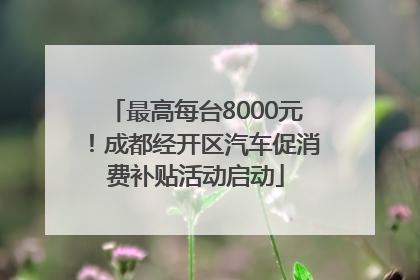 最高每台8000元！成都经开区汽车促消费补贴活动启动