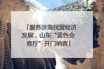 服务涉海民营经济发展，山东“蓝色会客厅”开门纳客
