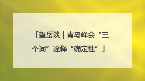 望岳谈｜青岛峰会“三个词”诠释“确定性”