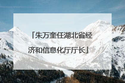 朱万奎任湖北省经济和信息化厅厅长