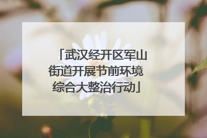 武汉经开区军山街道开展节前环境综合大整治行动