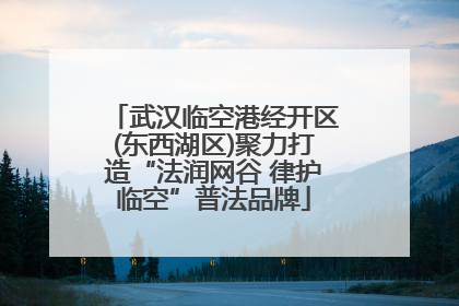武汉临空港经开区(东西湖区)聚力打造“法润网谷 律护临空”普法品牌
