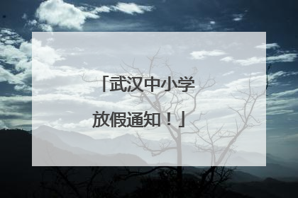 武汉中小学放假通知！