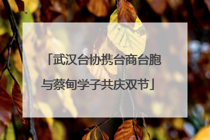 武汉台协携台商台胞与蔡甸学子共庆双节
