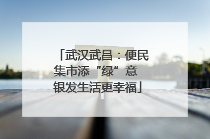 武汉武昌：便民集市添“绿”意 银发生活更幸福