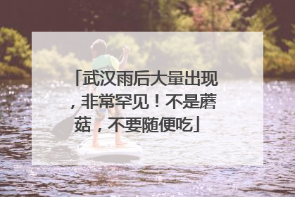 武汉雨后大量出现，非常罕见！不是蘑菇，不要随便吃