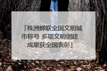 株洲蝉联全国文明城市称号 多项文明创建成果获全国表彰
