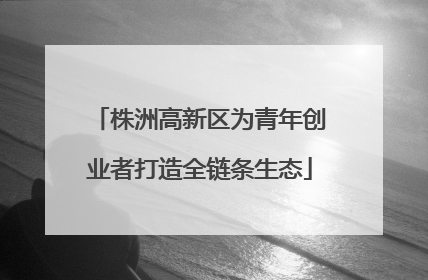 株洲高新区为青年创业者打造全链条生态