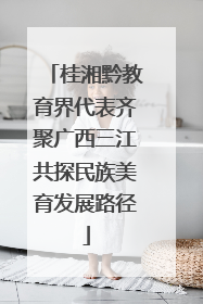 桂湘黔教育界代表齐聚广西三江共探民族美育发展路径
