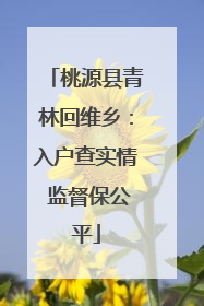 桃源县青林回维乡：入户查实情 监督保公平