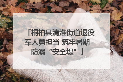 桐柏县清淮街道退役军人勇担当 筑牢暑期防溺“安全堤”