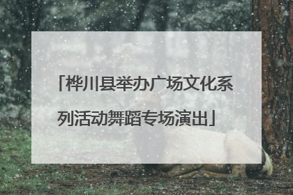 桦川县举办广场文化系列活动舞蹈专场演出