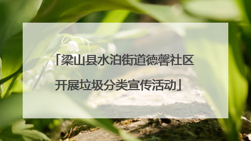 梁山县水泊街道德馨社区开展垃圾分类宣传活动