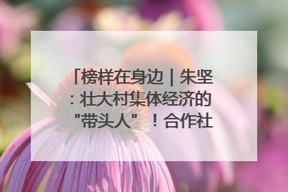 榜样在身边｜朱坚：壮大村集体经济的“带头人”！合作社经营收入三年内突破1200万元