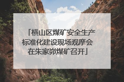 横山区煤矿安全生产标准化建设现场观摩会在朱家峁煤矿召开