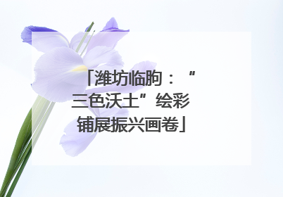 潍坊临朐：“三色沃土”绘彩铺展振兴画卷