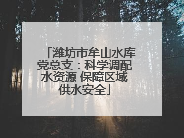 潍坊市牟山水库党总支：科学调配水资源 保障区域供水安全