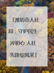 潍坊市人社局：守护民生淬初心 人社先锋绽风采