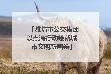 潍坊市公交集团以点滴行动绘就城市文明新画卷