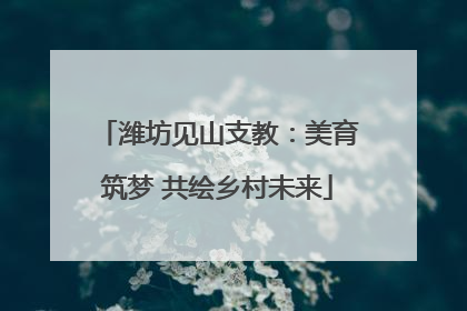 潍坊见山支教：美育筑梦 共绘乡村未来