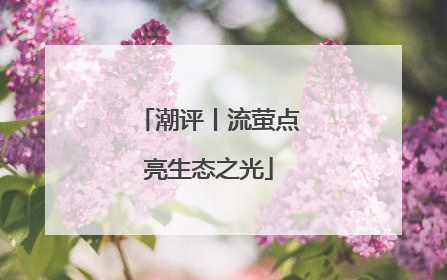 潮评丨流萤点亮生态之光