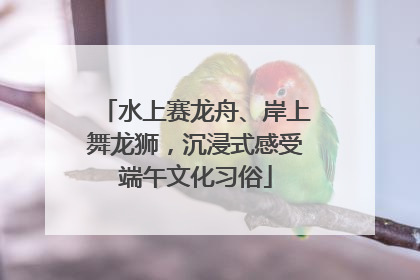 水上赛龙舟、岸上舞龙狮，沉浸式感受端午文化习俗
