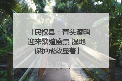 民权县：青头潜鸭迎来繁殖盛景 湿地保护成效显著