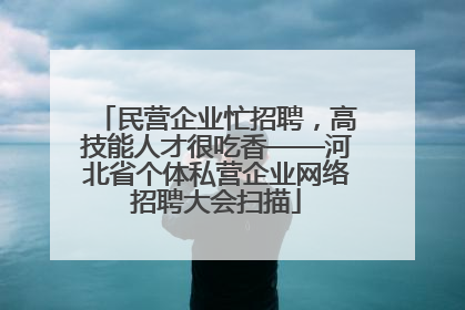 民营企业忙招聘，高技能人才很吃香——河北省个体私营企业网络招聘大会扫描