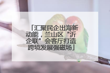 汇聚民企出海新动能，兰山区“沂企联”会客厅打造跨境发展强磁场