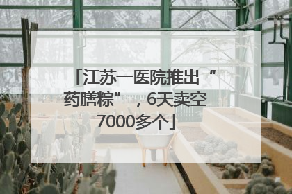 江苏一医院推出“药膳粽”，6天卖空7000多个