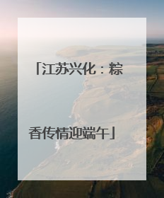 江苏兴化：粽香传情迎端午