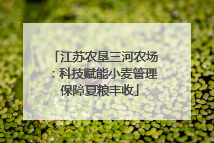 江苏农垦三河农场：科技赋能小麦管理保障夏粮丰收