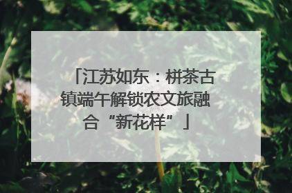 江苏如东：栟茶古镇端午解锁农文旅融合“新花样”