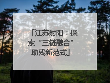 江苏射阳：探索“三链融合”助残新范式
