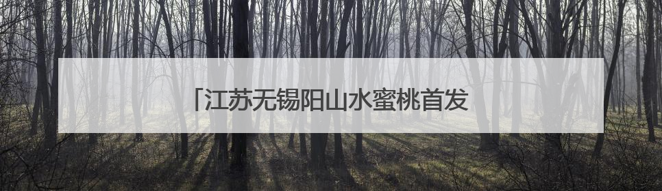 江苏无锡阳山水蜜桃首发 小桃子做出乡村振兴大文章