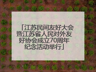 江苏民间友好大会暨江苏省人民对外友好协会成立70周年纪念活动举行