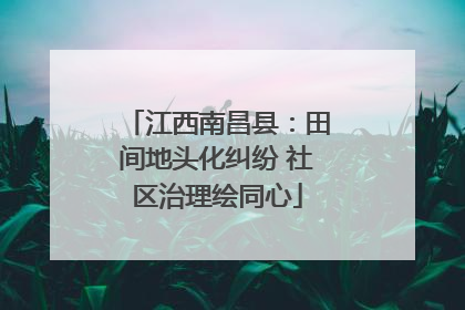 江西南昌县：田间地头化纠纷 社区治理绘同心