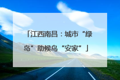 江西南昌：城市“绿岛”助候鸟“安家”