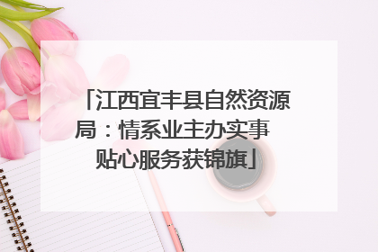 江西宜丰县自然资源局：情系业主办实事 贴心服务获锦旗