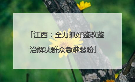 江西：全力抓好整改整治解决群众急难愁盼