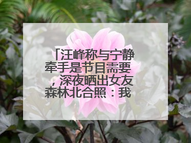 汪峰称与宁静牵手是节目需要，深夜晒出女友森林北合照：我俩好着呢！