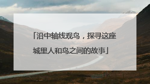 沿中轴线观鸟，探寻这座城里人和鸟之间的故事