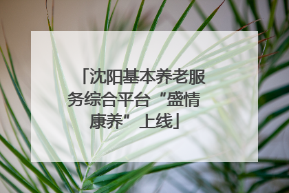 沈阳基本养老服务综合平台“盛情康养”上线