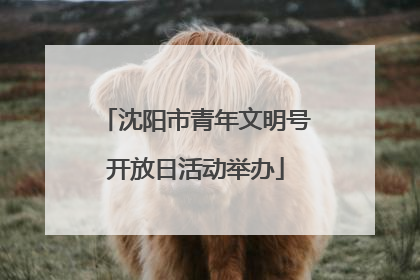 沈阳市青年文明号开放日活动举办