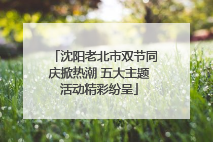沈阳老北市双节同庆掀热潮 五大主题活动精彩纷呈