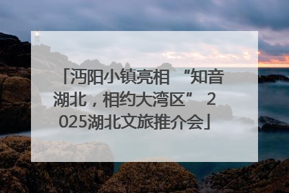 沔阳小镇亮相 “知音湖北，相约大湾区” 2025湖北文旅推介会