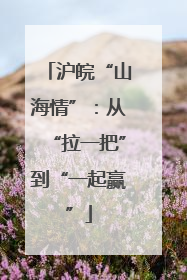 沪皖“山海情”：从“拉一把”到“一起赢”