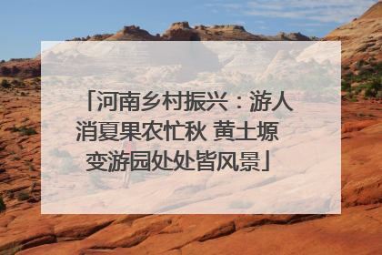 河南乡村振兴：游人消夏果农忙秋 黄土塬变游园处处皆风景